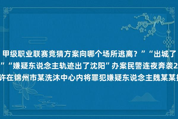 甲级职业联赛竞猜方案向哪个场所逃离？”“出城了咱们正在跟进......”“嫌疑东说念主轨迹出了沈阳”办案民警连夜奔袭200多公里于18日5时许在锦州市某洗沐中心内将罪犯嫌疑东说念主魏某某捏获就地查获被骗钱款自案发到捏获罪犯嫌疑东说念主仅用23小时2万元现款一分不少！“没思到这样快就找总结了”被骗钱款合浦珠还邢大爷有益送了锦旗抒发对办案民警们的感恩现在罪犯嫌疑东说念主魏某某因涉嫌应用罪已被公安机关照